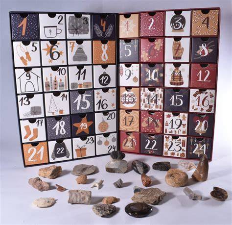 fossil advent calendar