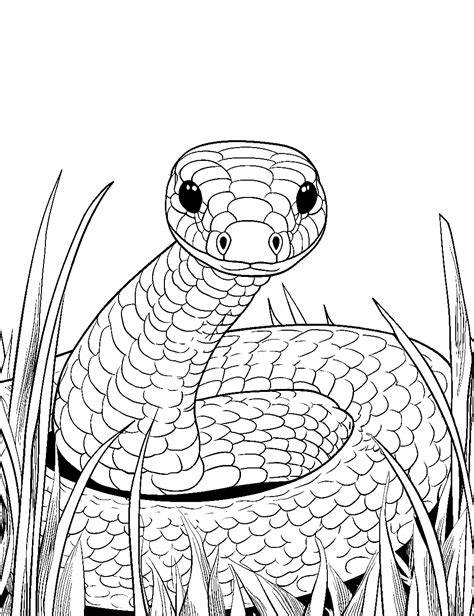 Snake Coloring Pages Printable