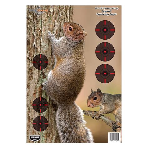 Squirrel Targets Printable
