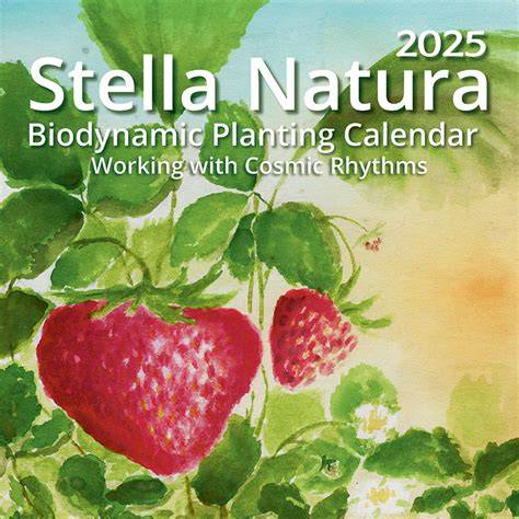 Stella Natura Calendar 2025
