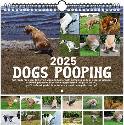 dogs pooping calendar