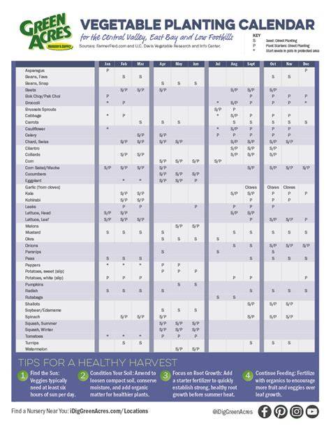 vegetable planting calendar