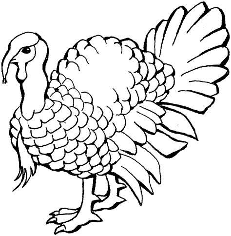 Turkey Coloring Pages