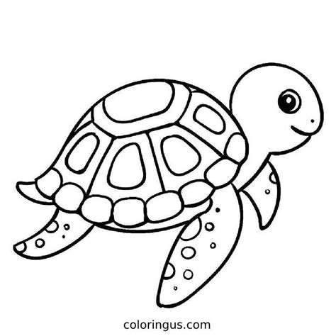 Turtle Printable Coloring Page