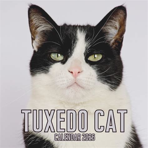 Tuxedo Cat Calendar
