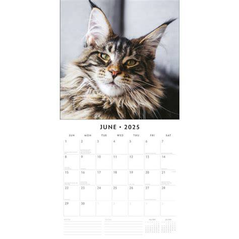 Umf Academic Calendar