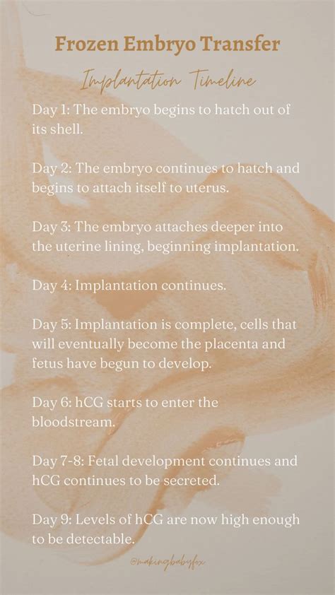 calendar for frozen embryo transfer