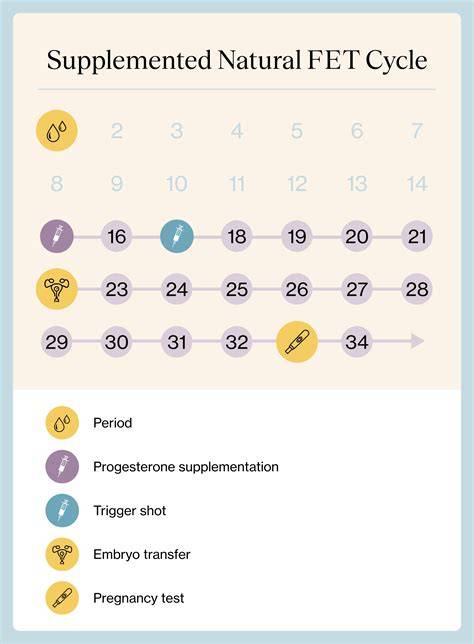 frozen embryo transfer calendar