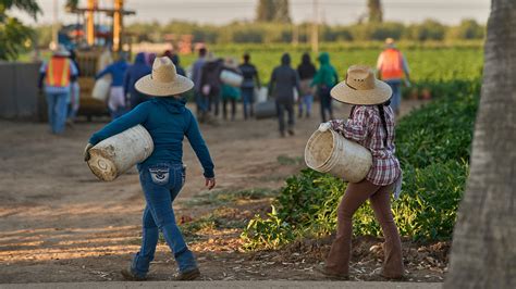 migrant farm worker preschool calendar