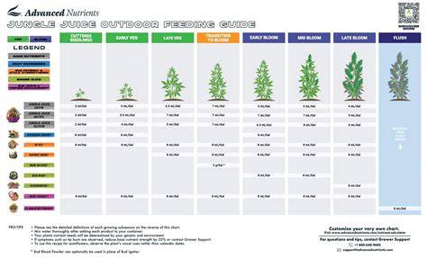 Weed Growing Calendar