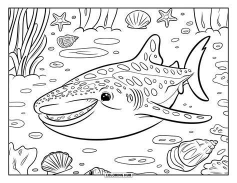 Whale Shark Pictures To Color
