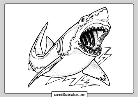 White Shark Coloring Pages
