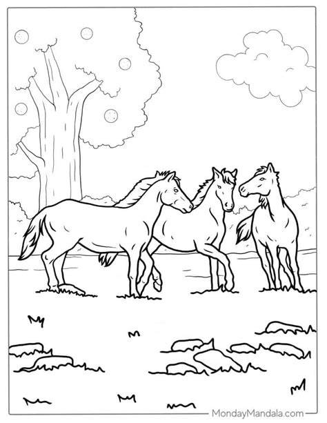 Wild Horse Coloring Pictures