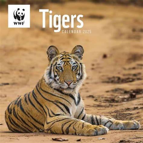 Wwf Calendar 2025