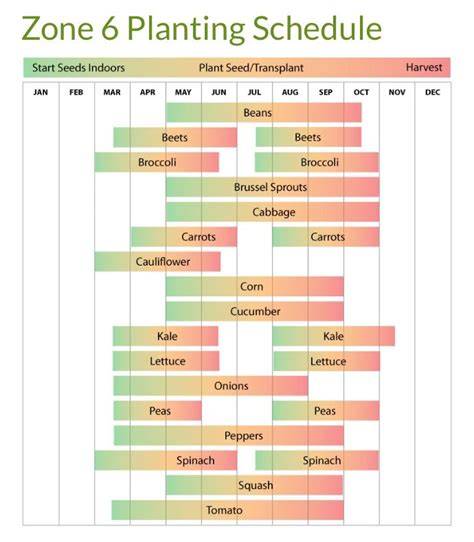 Zone 6b Seed Starting Calendar
