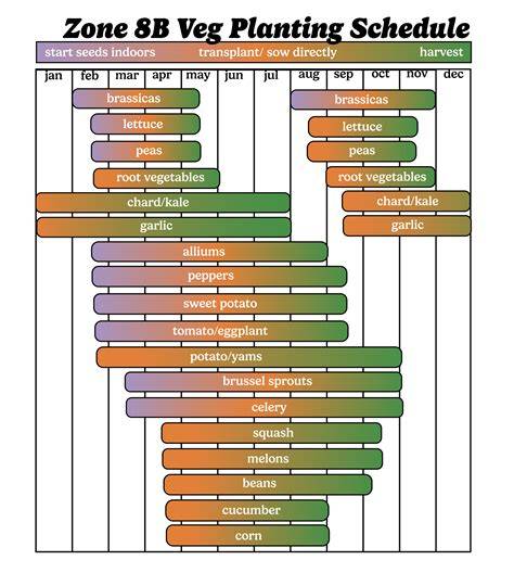 Zone 8 Planting Calendar