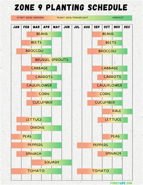 Zone 9a Planting Calendar